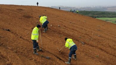 Dilovası’nda geleceğe 8 bin ağaçlık nefes