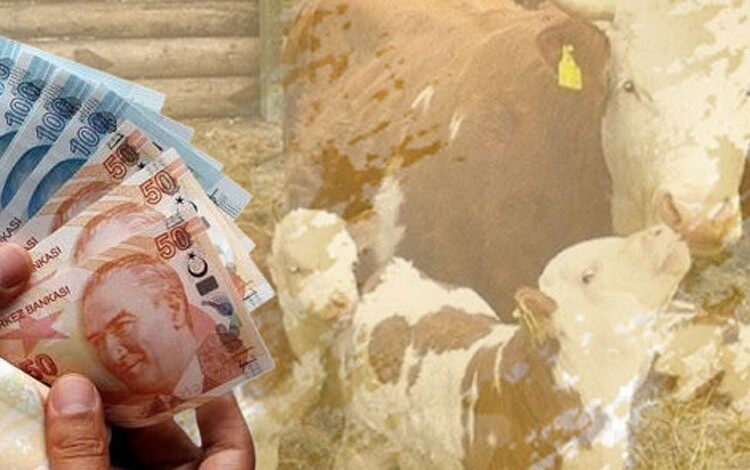 1,4 milyar TL’lik tarımsal destek bugün hesaplarda 1,4 milyar TL’lik tarımsal destek bugün hesaplarda
