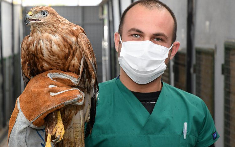 İzmir Karabağlar’da ‘Kızıl Şahin’ korumada