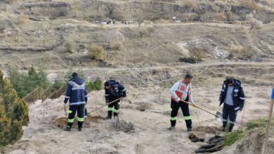 Nevşehir Belediyesi’nden 24 Kasım anısına fidan