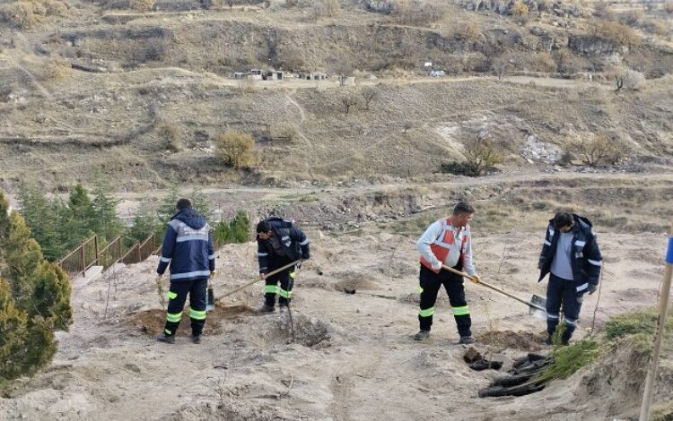 Nevşehir Belediyesi’nden 24 Kasım anısına fidan Nevşehir Belediyesi’nden 24 Kasım anısına fidan