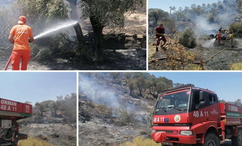 Aydın Söke’de çıkan yangın da kontrol altına alındı