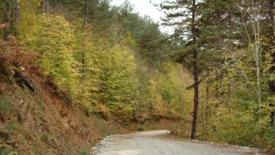 Küçükelmalı Tabiat’ta sonbahar