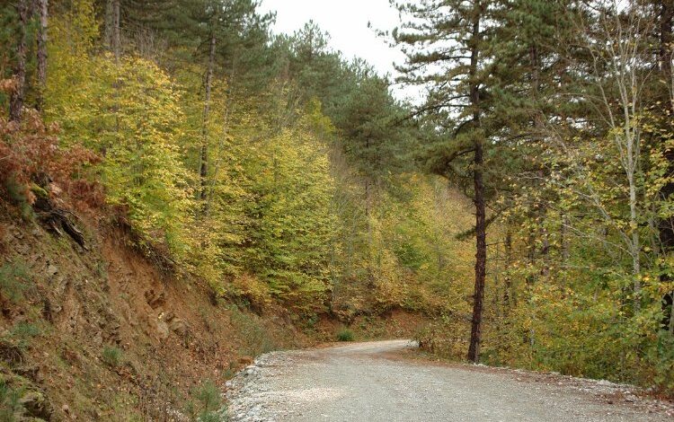 Küçükelmalı Tabiat’ta sonbahar Küçükelmalı Tabiat’ta sonbahar