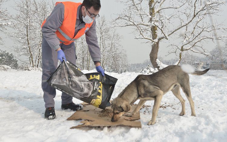 Bursa’da can dostlarına ‘Yıldırım’ şefkat
