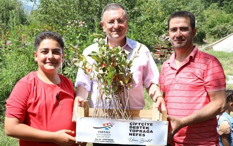 Hatay’da ‘çiftçiye destek toprağa nefes’e devam