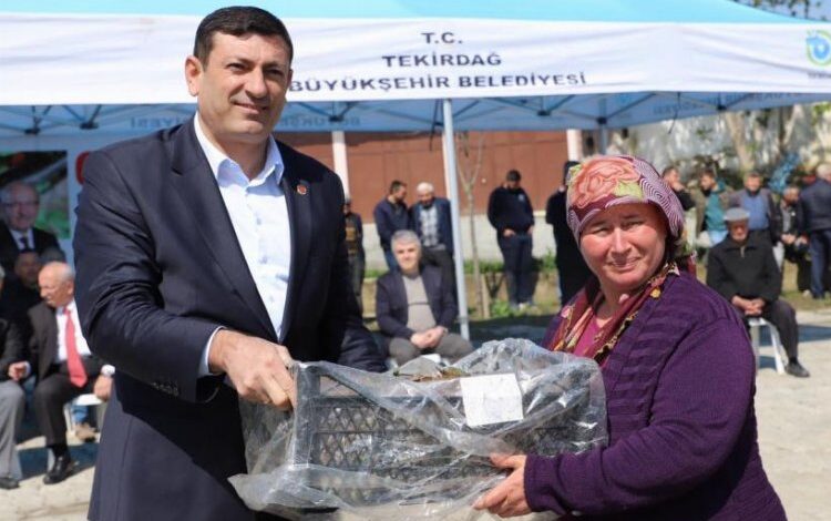 Üreticilere çilek fidesi desteği