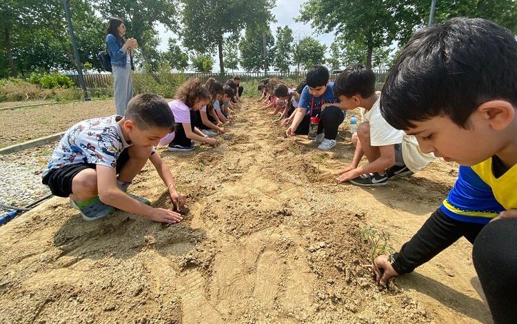 Efes Selçuklu çocuklar fideleri toprakla buluşturuyor