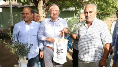 Hatay’da 50 bin çiftçiye meyve fidesi