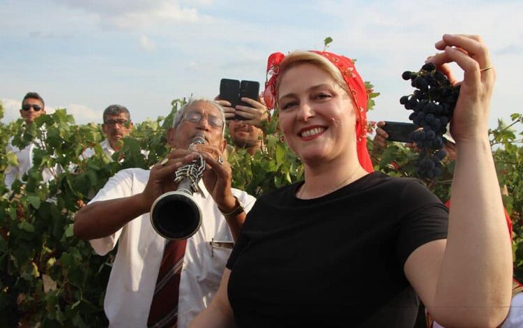 Uzunköprü’de davul zurna eşliğinde bağ bozumu