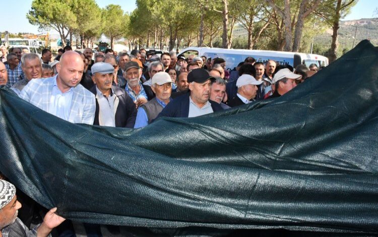 Manisa’da zeytinin başkenti Akhisar’a Büyükşehir’den destek