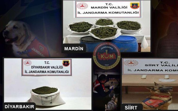3 ildeki uyuşturucu operasyonu 4 şüpheli yakalandı 3 ildeki uyuşturucu operasyonu 4 şüpheli yakalandı