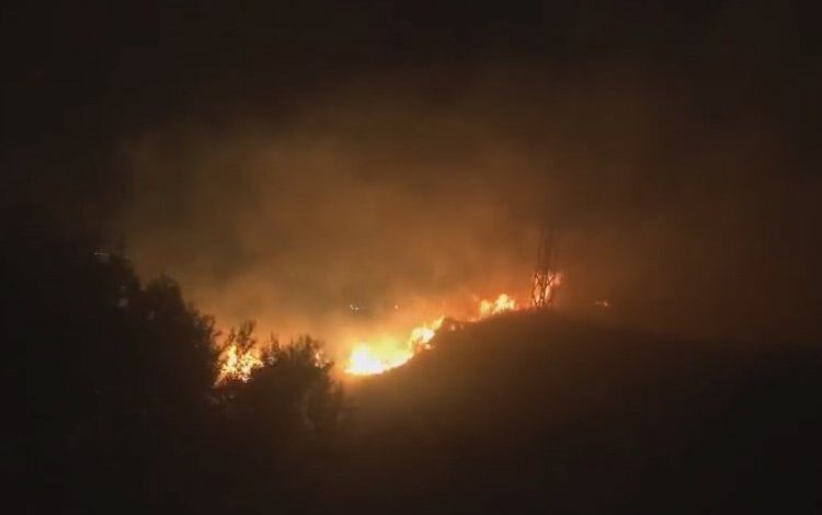 Bingöl’de orman yangını kontrol altında Bingöl’de orman yangını kontrol altında