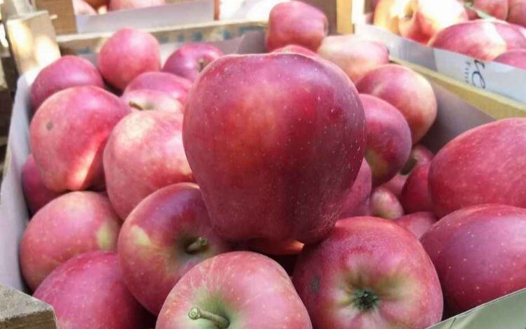 Üretici ile market farkı büyük… En fazla fiyat farkı elmada!