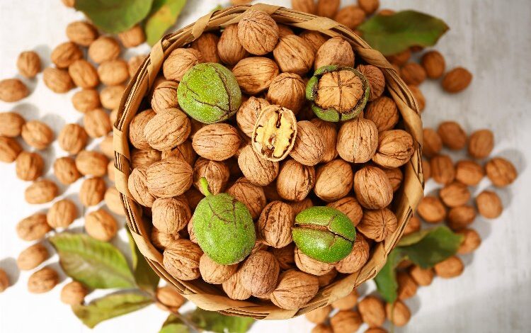 Lezzetli ve kaliteli cevizi anlamanın 5 ipucu Lezzetli ve kaliteli cevizi anlamanın 5 ipucu