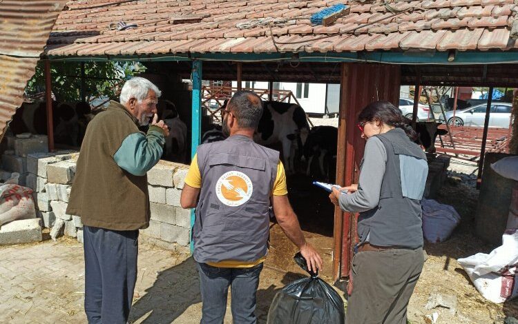 Afet bölgesinde yem ihtiyacı artıyor