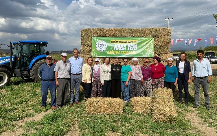 Muğla’dan üreticilere kaba yem desteği