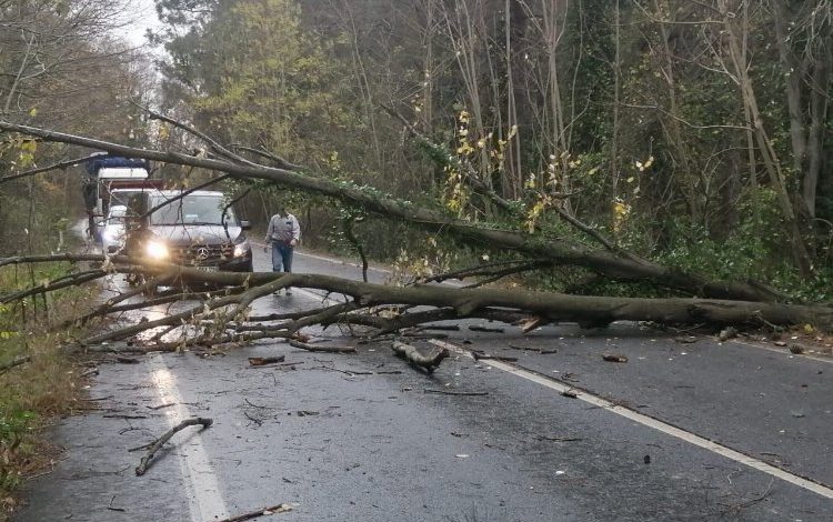 İstanbul’da lodos fırtınasında 33 çatı uçtu İstanbul’da lodos fırtınasında 33 çatı uçtu