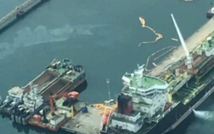 Denizi kirletenlere caydırıcı yasa önerisi