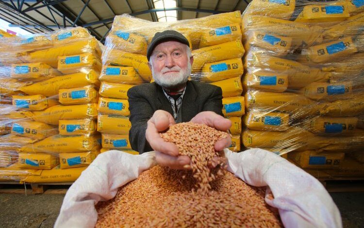 Kocaeli’den çiftçilere tohum desteği