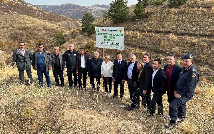 10 bin fidan karbon salınımını sıfırlayacak 10 bin fidan karbon salınımını sıfırlayacak