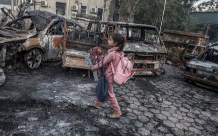 Dezenformasyon Bülteni bu kez ‘Filistin’ temasıyla yayımlandı