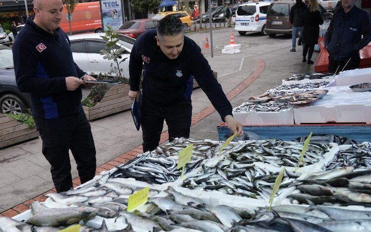 Balık tezgahlarına sıkı denetim