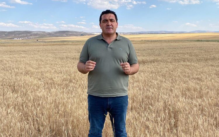 TMO’nun çiftçiyi tehdidine Milletvekili Karasu’dan sert yanıt TMO’nun çiftçiyi tehdidine Milletvekili Karasu’dan sert yanıt