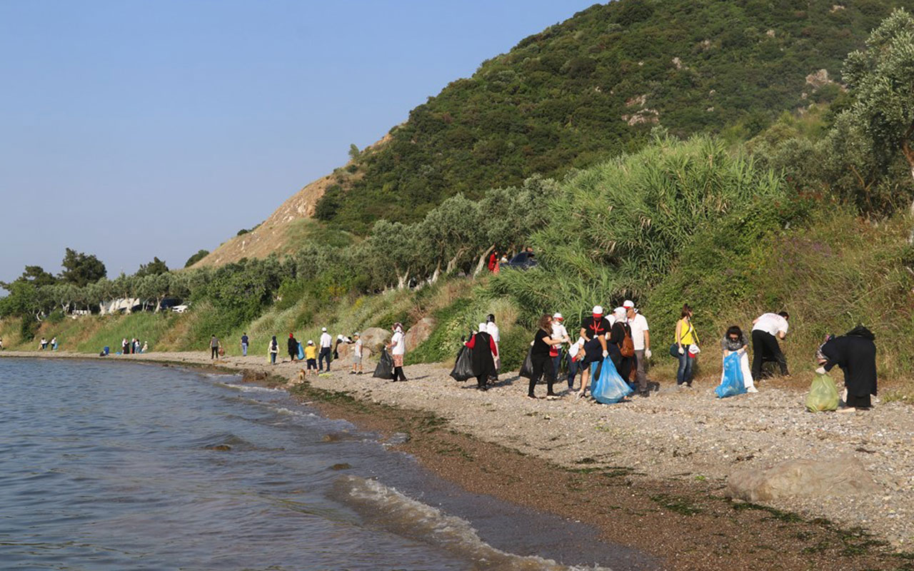 Bursa Gemlik’te Kurşunlu sahili ‘Hayat’ buldu