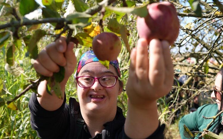 Düzce’de kusursuz hasat! Düzce’de kusursuz hasat!
