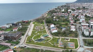 Bataklık yaşam alanına döndü