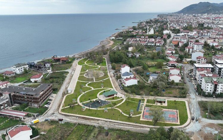 Bataklık yaşam alanına döndü Bataklık yaşam alanına döndü