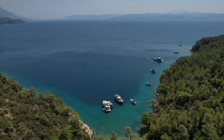 Muğla doğası için 174 dava açtı! Muğla doğası için 174 dava açtı!