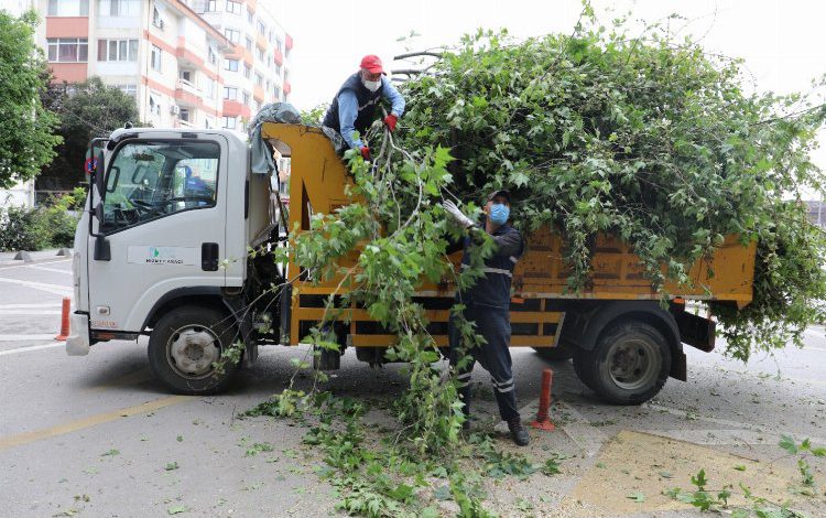 Kocaeli İzmit’te çocuklar meyveleri dalından yiyecek Kocaeli İzmit’te çocuklar meyveleri dalından yiyecek