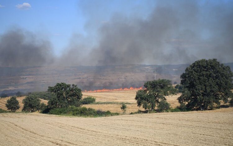 Keşan’da yangın: 2 bin dönüm alan kül oldu Keşan’da yangın: 2 bin dönüm alan kül oldu