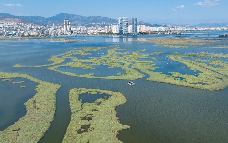 Gediz Deltası projesi Ufuk Avrupa Programı’nı kazandı Gediz Deltası projesi Ufuk Avrupa Programı’nı kazandı