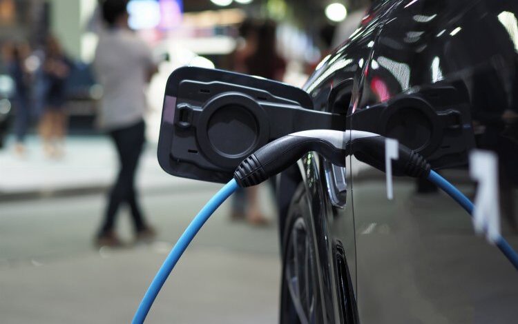 Go Green, 16-18 Kasım’da Bursa’da Go Green, 16-18 Kasım’da Bursa’da