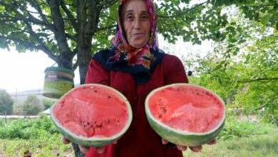 Kocaeli’den üreticilere destekler sürüyor