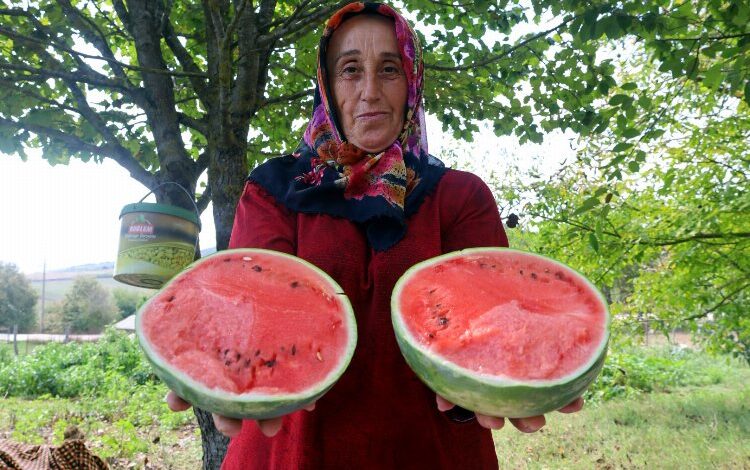 Kocaeli’den üreticilere destekler sürüyor Kocaeli’den üreticilere destekler sürüyor