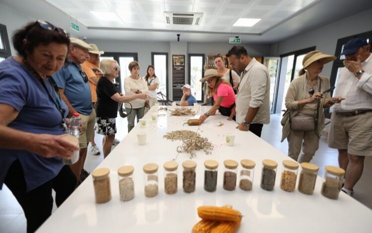 Efes Selçuk’ta agro turizm atağı