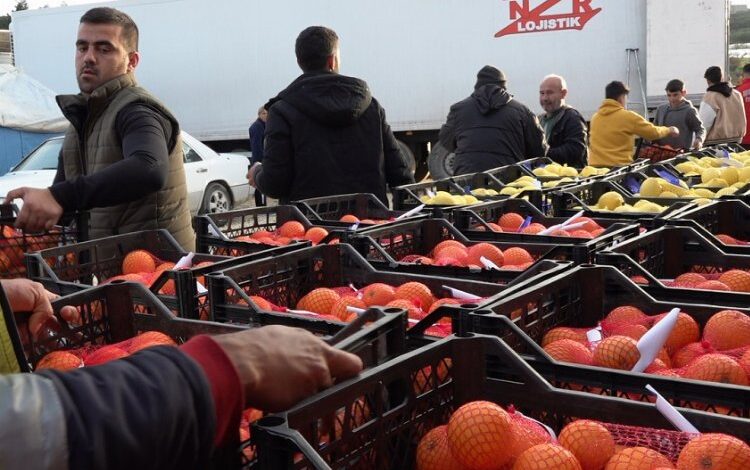 Mersin’den 24 ton narenciye desteği