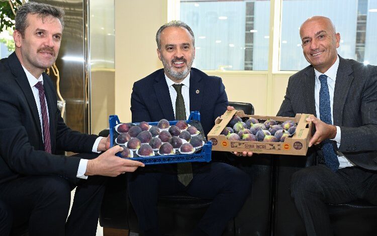Alım heyetleri Bursa Siyah İnciri Çalıştayı’nda buluştu Alım heyetleri Bursa Siyah İnciri Çalıştayı’nda buluştu