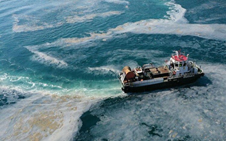 BTÜ’den müsilaj uyarısı BTÜ’den müsilaj uyarısı