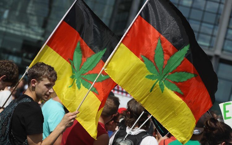 Almanya’da esrara ‘denetimli serbestlik’ testi