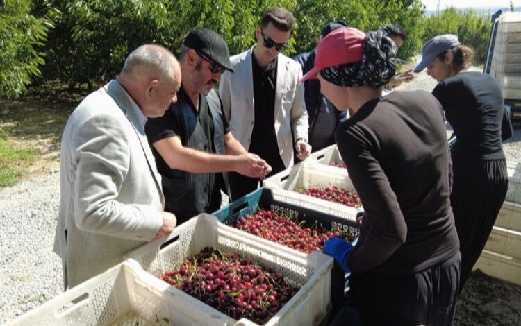 Kayseri Yahyalı’dan dünyaya kiraz ihracatı