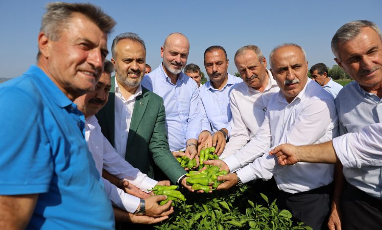 Bursa Büyükşehir destekliyor, çiftçi kazanıyor Bursa Büyükşehir destekliyor, çiftçi kazanıyor