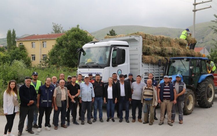 Hayvan üreticilerine balya desteği Hayvan üreticilerine balya desteği