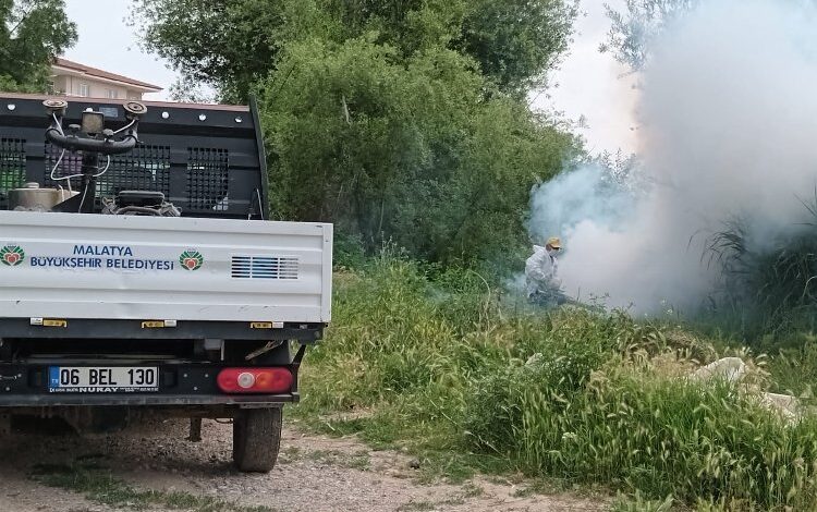 Malatya’da ilaçlama çalışmaları sürüyor