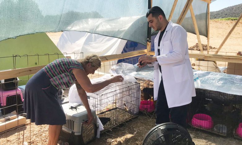 İzmit’in ‘Patibüs’ü Muğla’da can dostlarına destekte