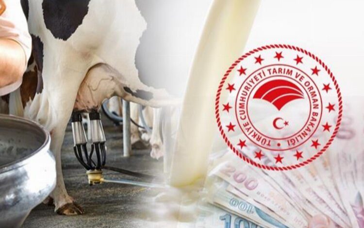 Üreticiye 38,3 milyon TL bugün hesaplarda